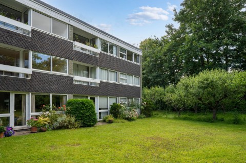 View Full Details for Newton Road, Cambridge, CB2 - EAID:4037033056, BID:df7a2b8e-b283-433c-96bc-9990089caf32